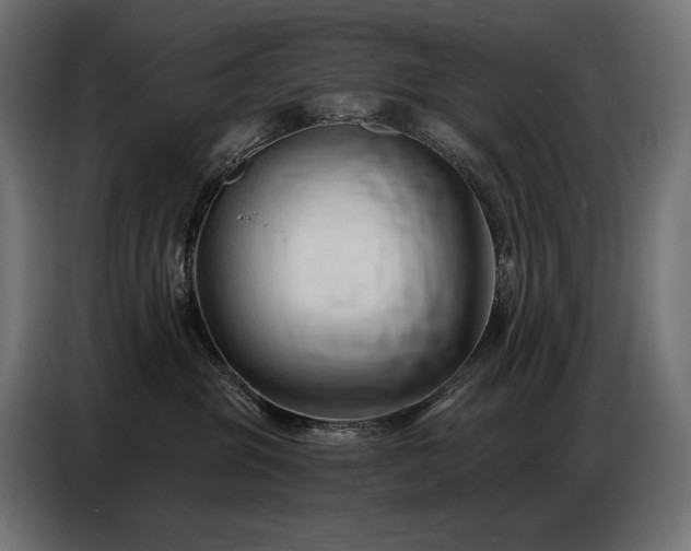 X0000086880381200704161227