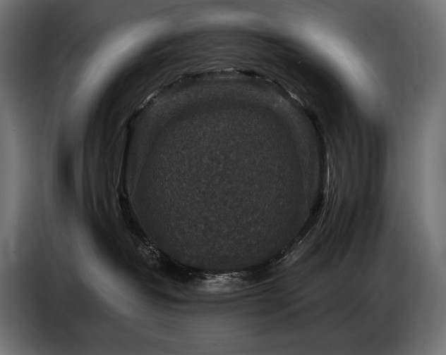 X0000086880382200704161227