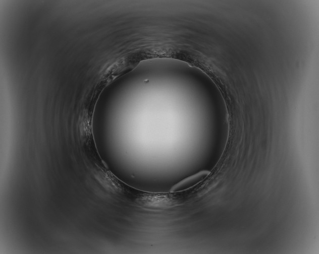 X0000086880384200704161227