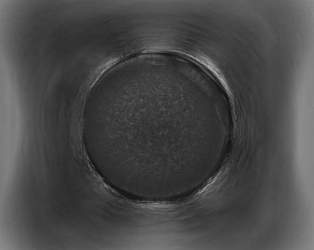 X0000086880385200704161226