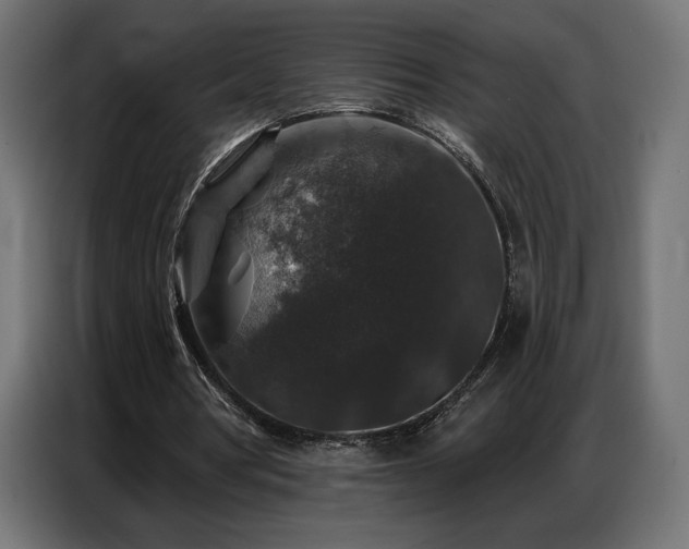 X0000086880386200704161226