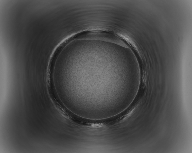 X0000086880388200704161226