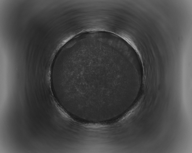 X0000086880389200704161226