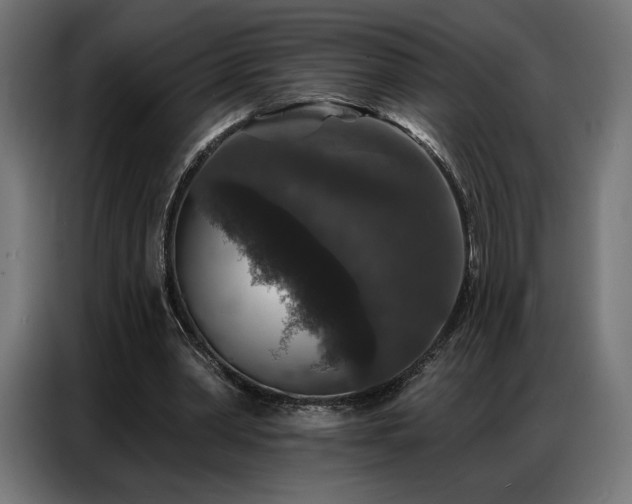 X0000086880390200704161226