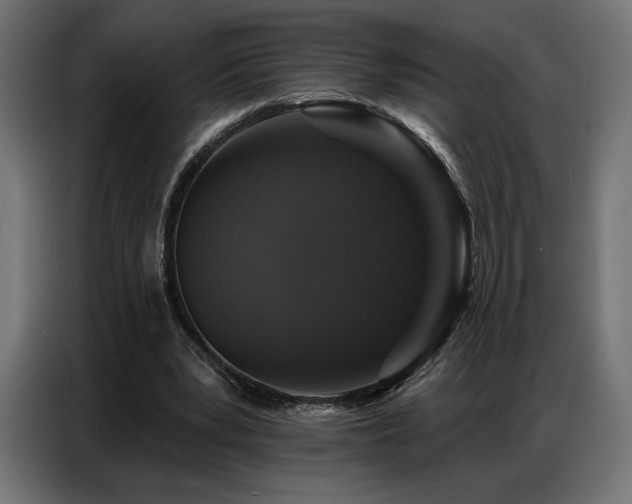 X0000086880391200704161226