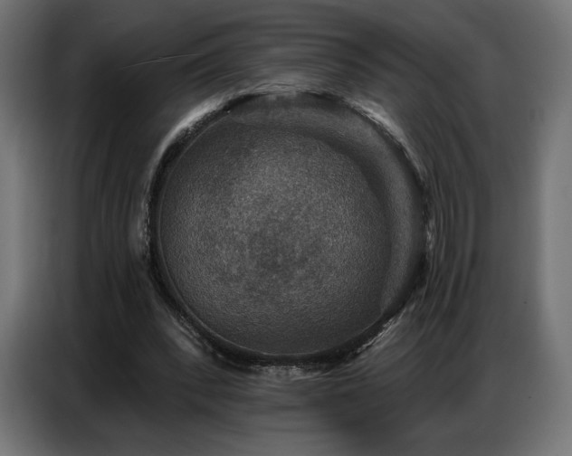 X0000086880392200704161226