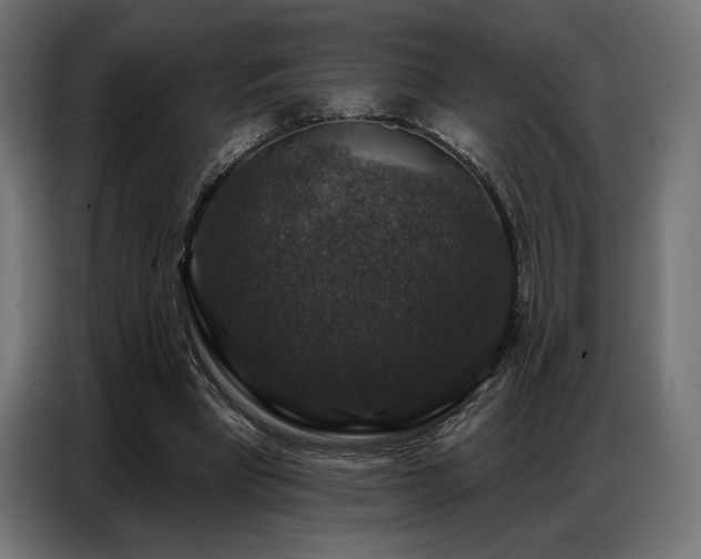 X0000086880393200704161226