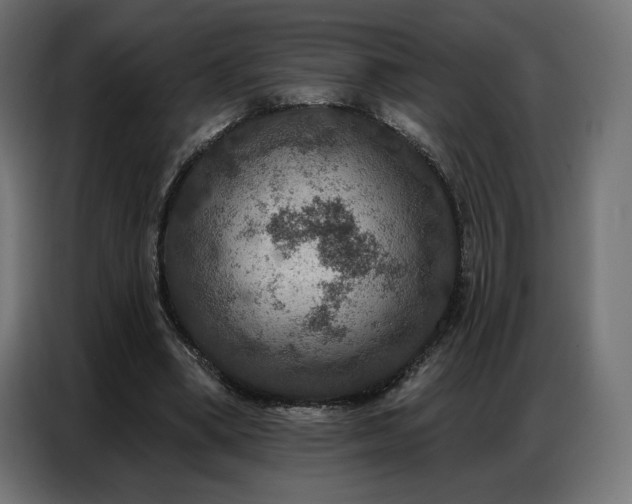 X0000086880394200704161226