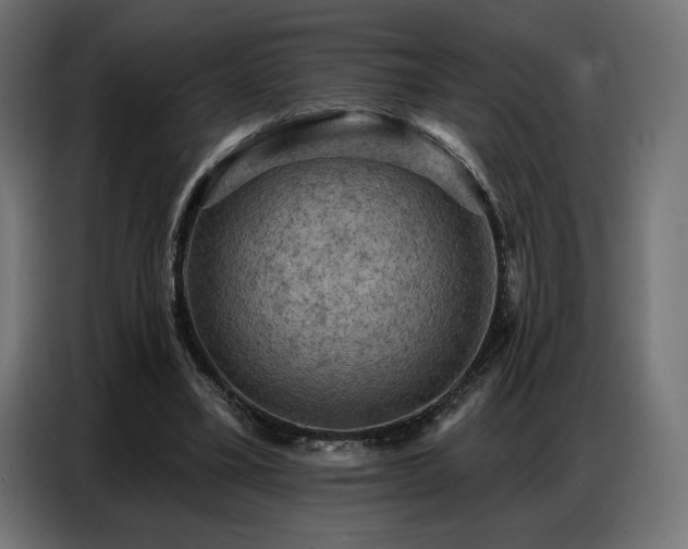 X0000086880395200704161226