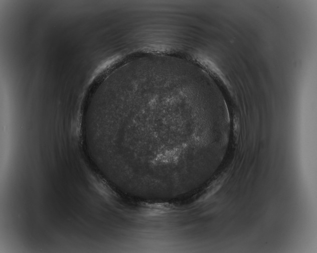 X0000086880396200704161226