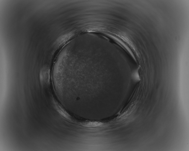 X0000086880397200704161226