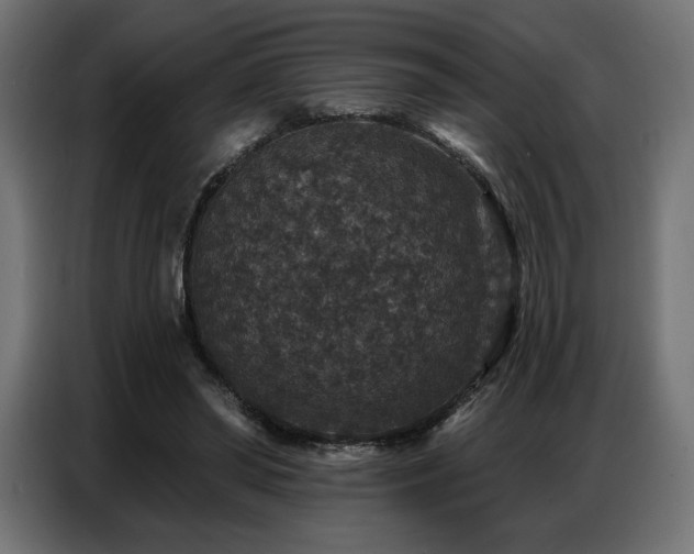 X0000086880398200704161226