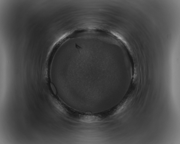 X0000086880399200704161226