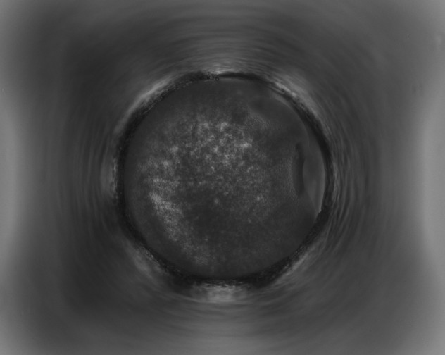 X0000086880400200704161226