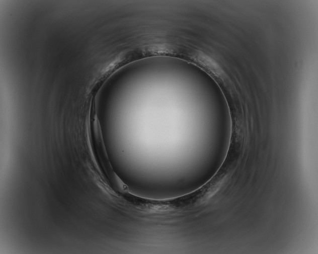 X0000086880401200704161226