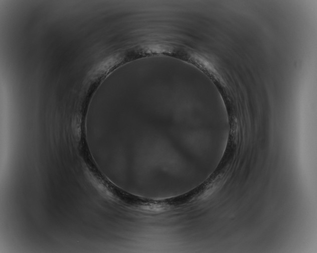 X0000086880402200704161226