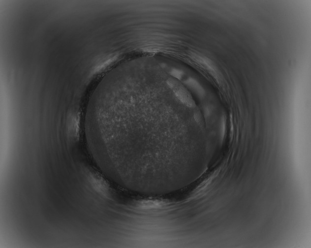 X0000086880404200704161226