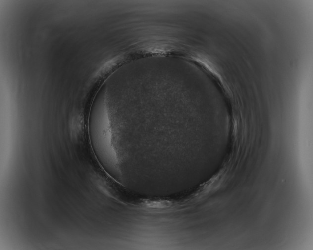 X0000086880407200704161226