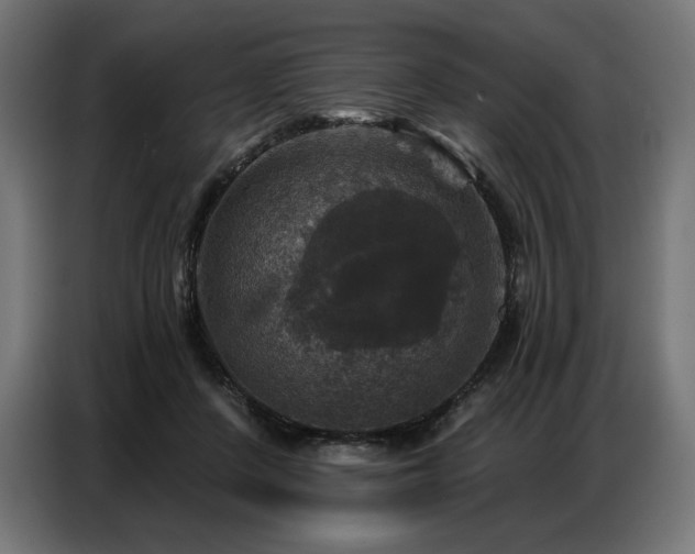 X0000086880408200704161226