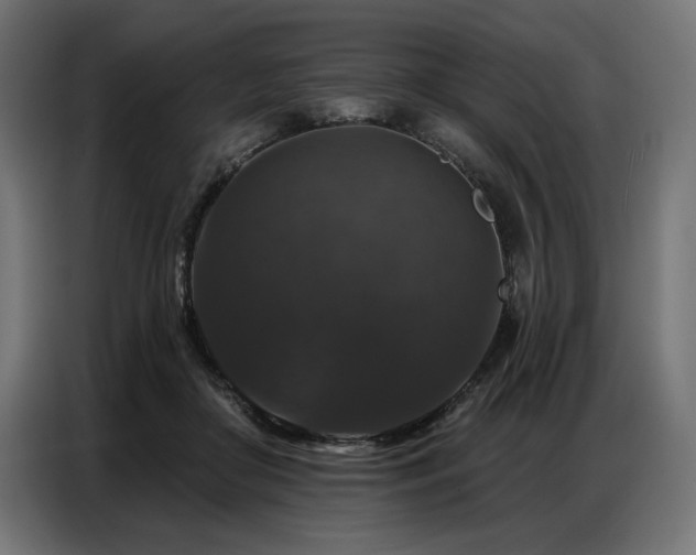 X0000086880410200704161226