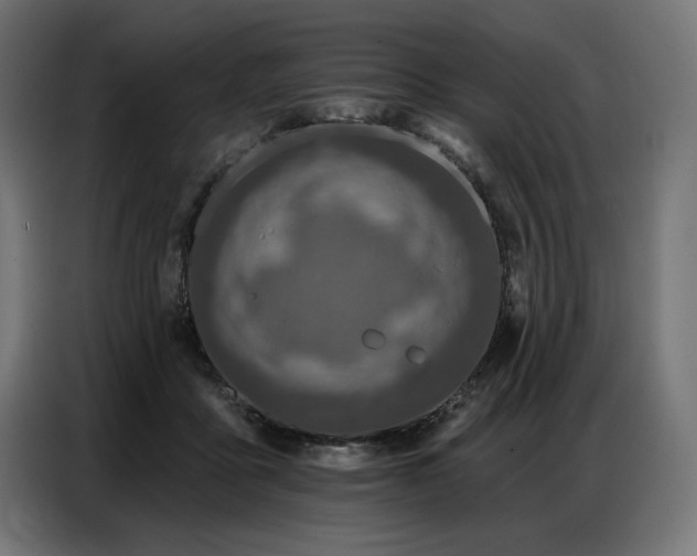 X0000086880411200704161226