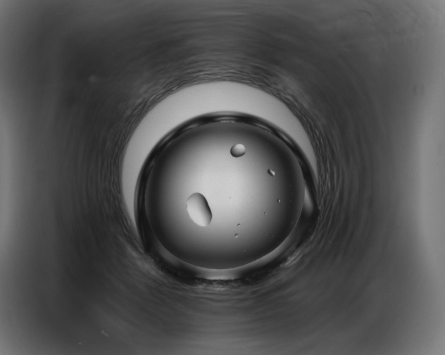 X0000086880412200704161226