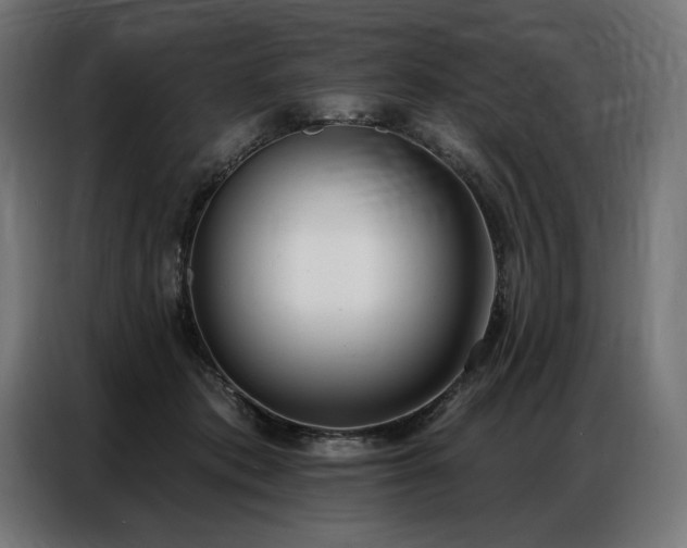 X0000086880413200704161226