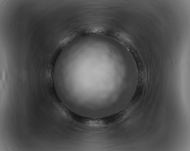 X0000086880415200704161226