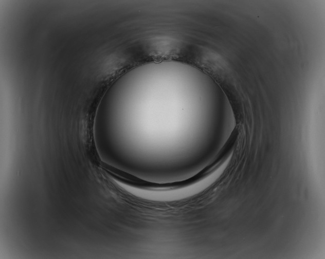 X0000086880416200704161226