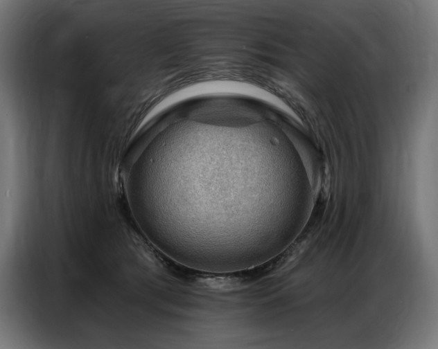 X0000086880417200704161226