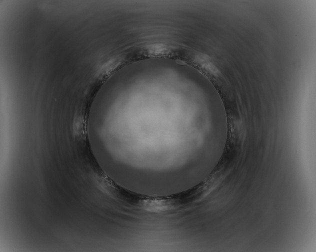 X0000086880419200704161226