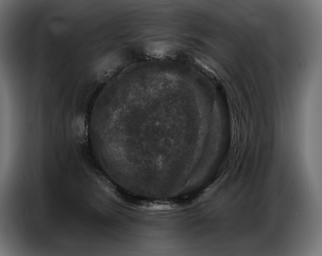 X0000086880420200704161225