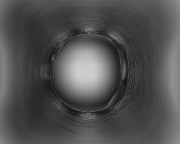 X0000086880421200704161225