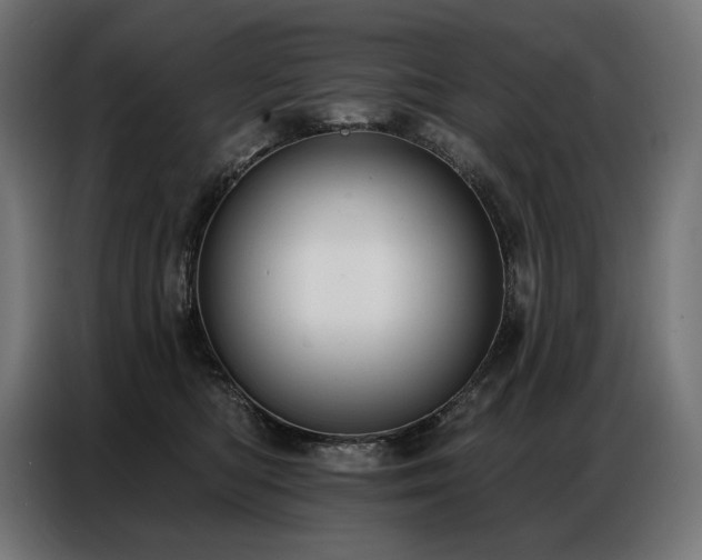 X0000086880422200704161225