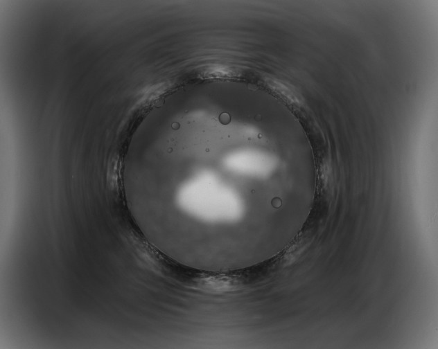 X0000086880423200704161225