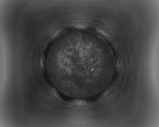 X0000086880424200704161225