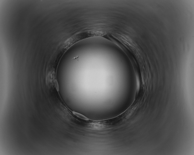 X0000086880425200704161225