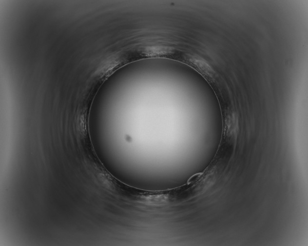 X0000086880426200704161225