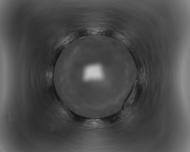 X0000086880427200704161225