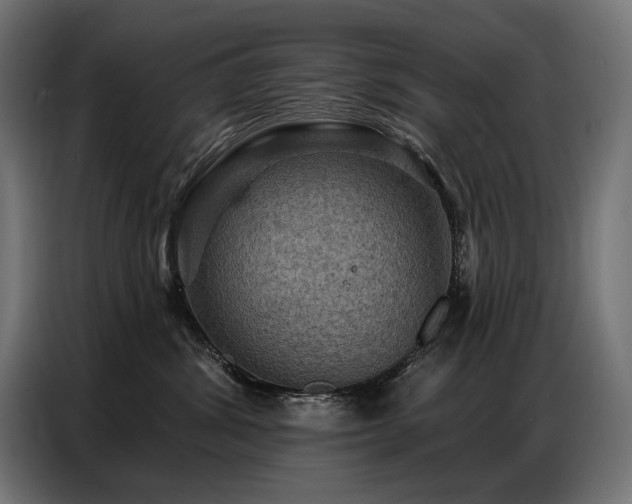 X0000086880428200704161225