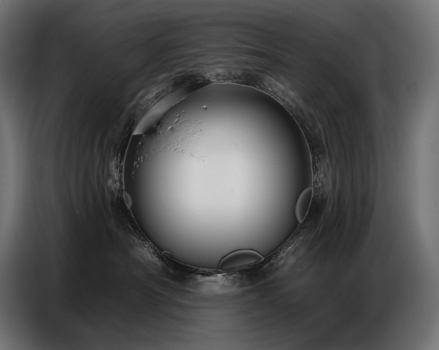 X0000086880430200704161225