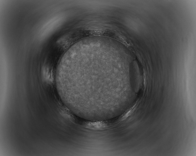 X0000086880431200704161225