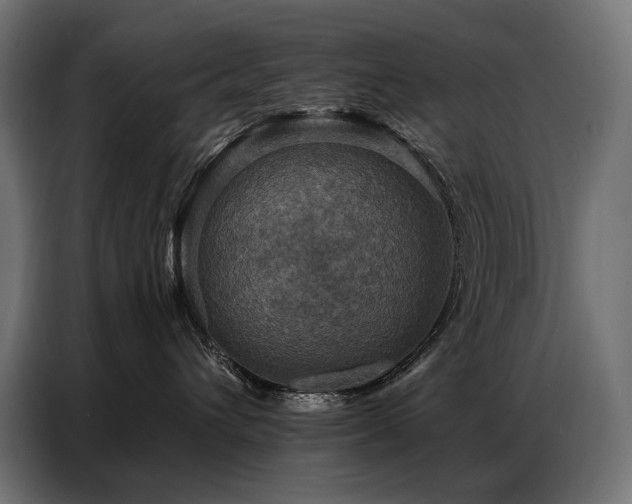 X0000086880432200704161225