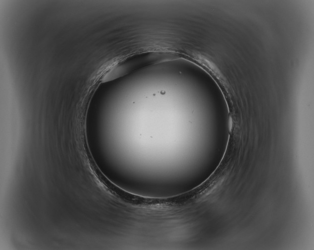 X0000086880433200704161224