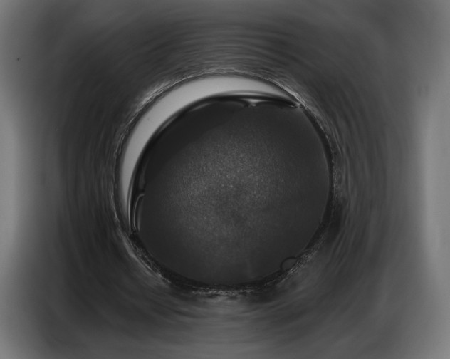 X0000086880434200704161224