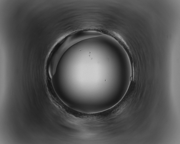 X0000086880435200704161224