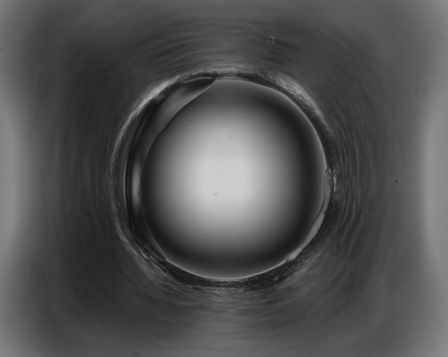 X0000086880436200704161224