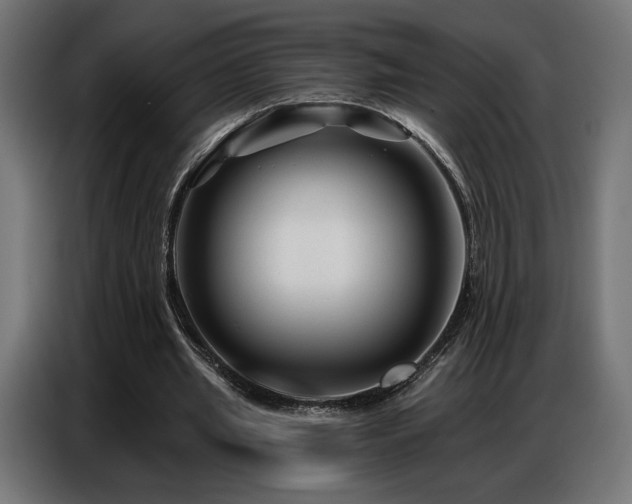 X0000086880437200704161225