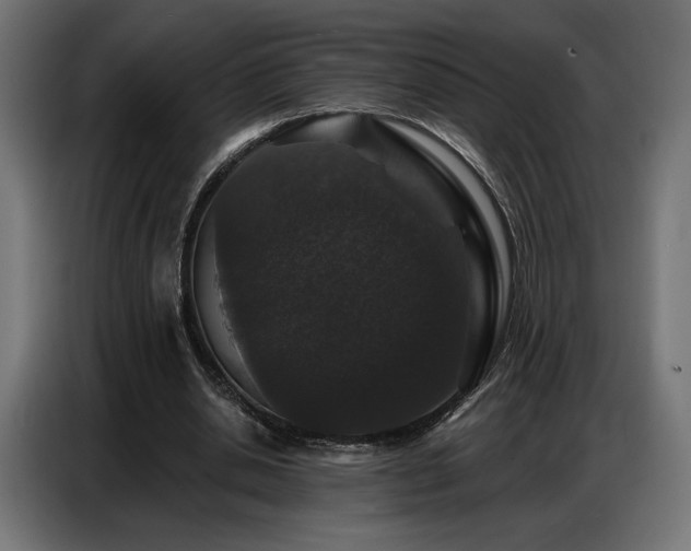 X0000086880438200704161225