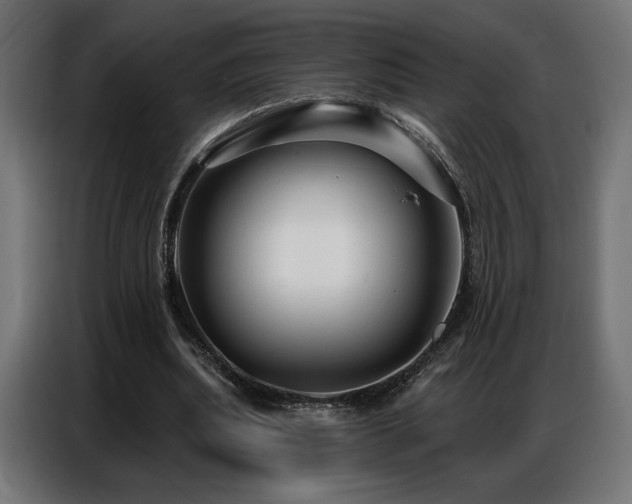 X0000086880439200704161225